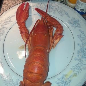 Meet your Posher, William